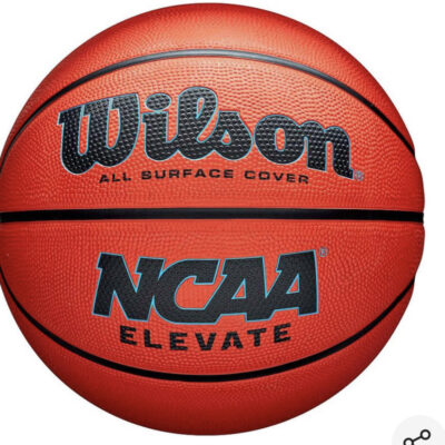Basketball Wilson- Size 7
