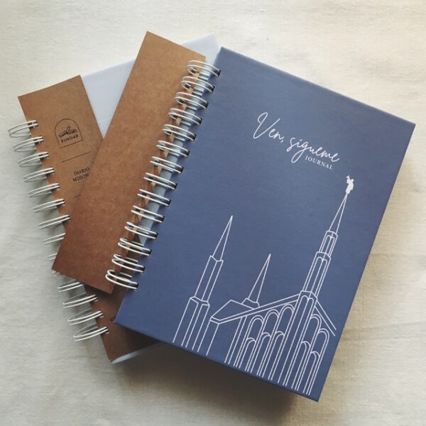 Come, Follow Me Journal