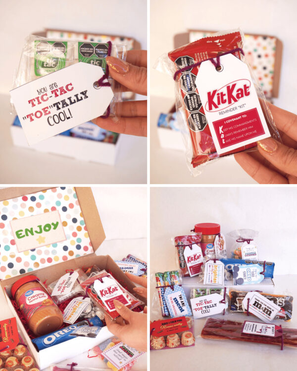 NEW Special Box (Limited Edition)