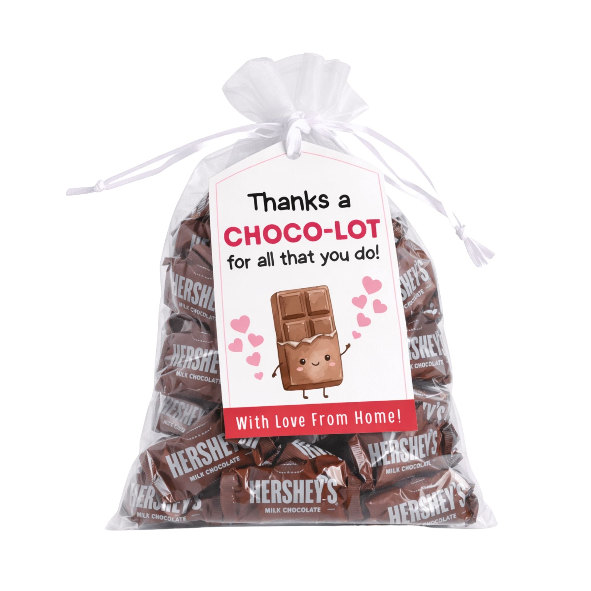 Hershey's Gift Bag (100g)