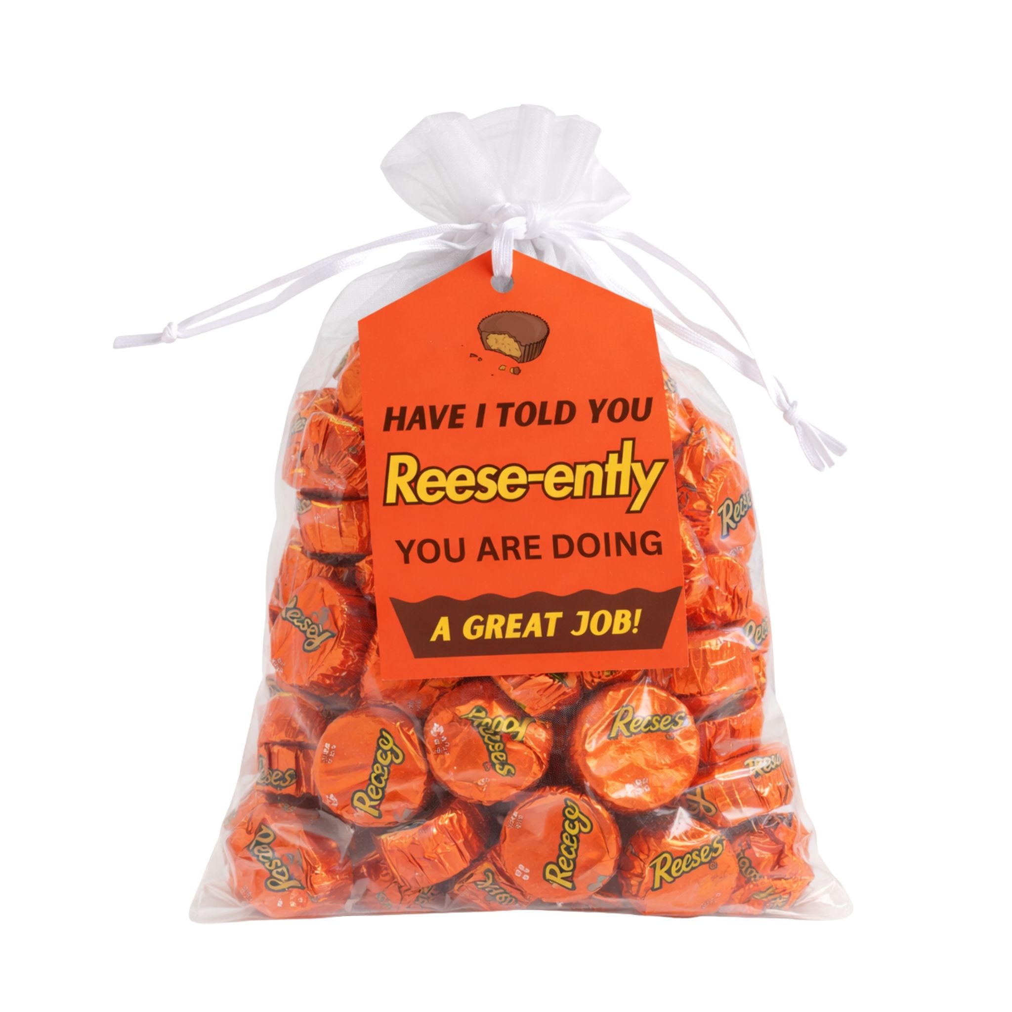Reese's Gift Bag (100g)